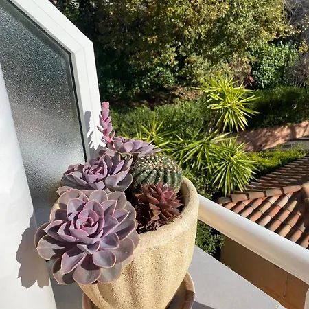 Apartamento Elégant 2 Pièces Calme, Sécurisé Près Centre-ville Cannes
